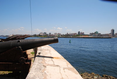 DSC_3799.JPG