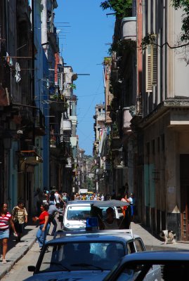 DSC_3847.JPG