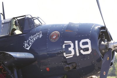 Avenger detail