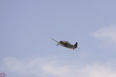 Yak 11