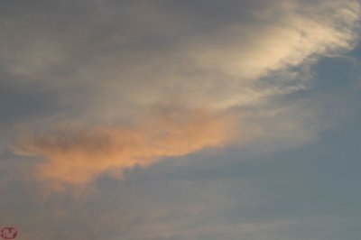 IMG_08103.JPG
