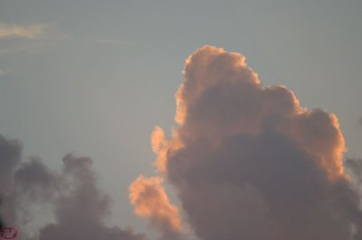 IMG_08104.JPG