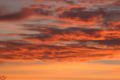 IMG_0811.JPG