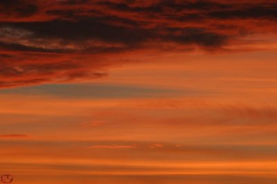 IMG_0818.JPG