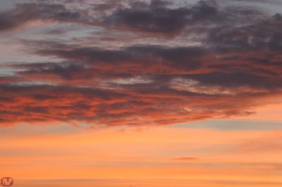 IMG_0819.JPG