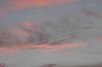 IMG_0821.JPG