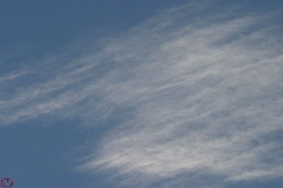 IMG_1194.JPG