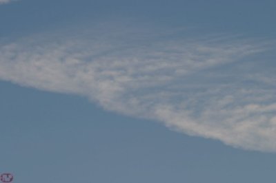 IMG_1197.JPG