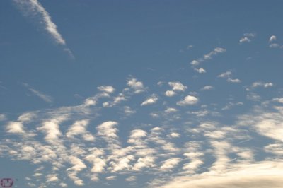 IMG_1202.JPG