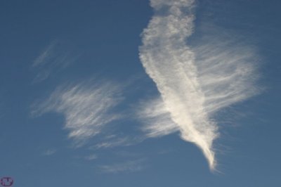 IMG_1206.JPG