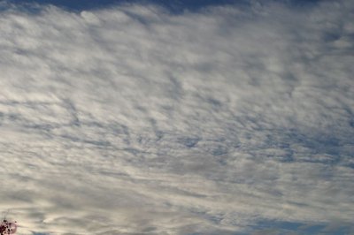 IMG_1210.JPG