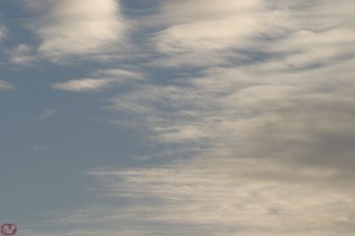 IMG_1220.JPG