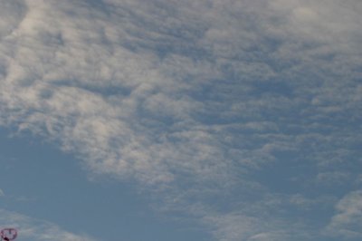 IMG_1223.JPG