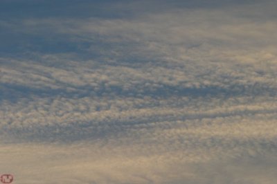IMG_1260.JPG
