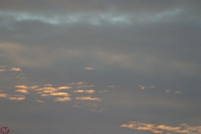 IMG_1269.JPG