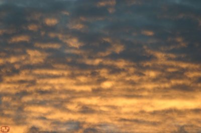 IMG_1278.JPG