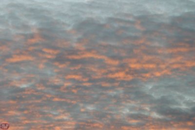 IMG_1301.JPG