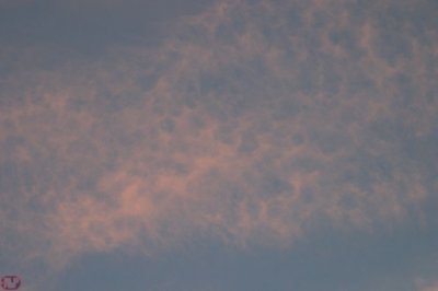 IMG_1308.JPG