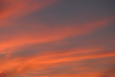 IMG_1387.JPG