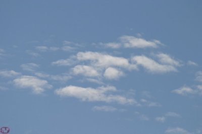 IMG_1805.JPG