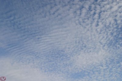 IMG_1811.JPG