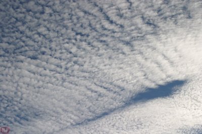 IMG_1824.JPG