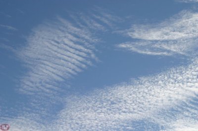 IMG_1838.JPG