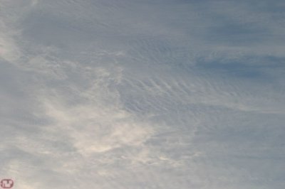 IMG_1924.JPG