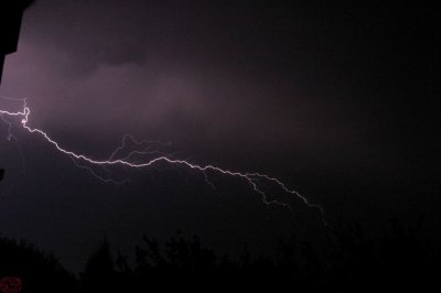 IMG_2565.JPG