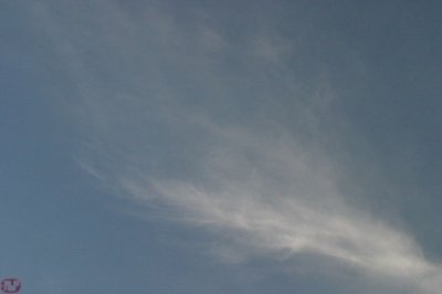 IMG_2641.JPG