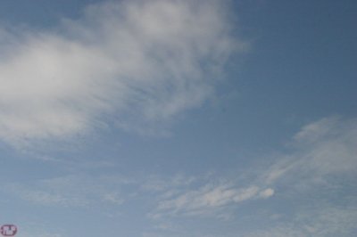 IMG_2705.JPG