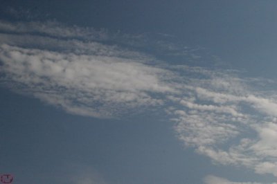 IMG_2710.JPG