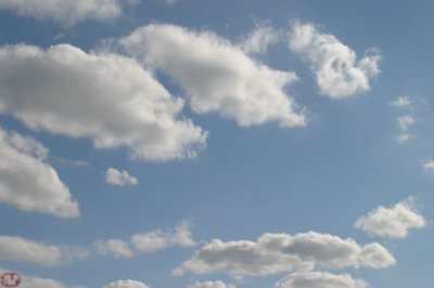 IMG_2743.JPG
