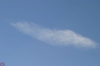 IMG_3082.JPG