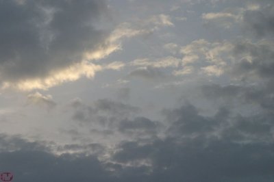 IMG_3611.JPG