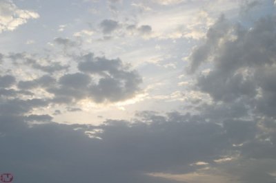 IMG_3612.JPG
