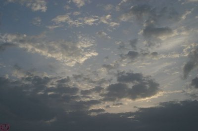 IMG_3617.JPG