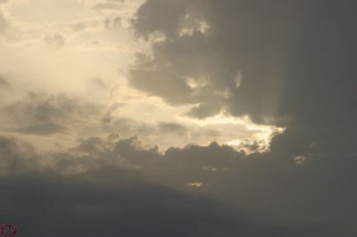 IMG_3641.JPG