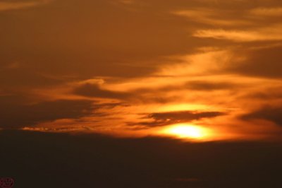 IMG_3668.JPG