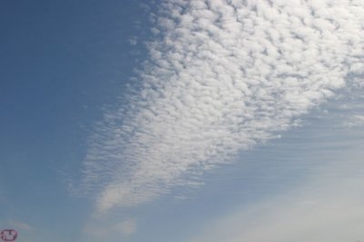 IMG_6544.JPG