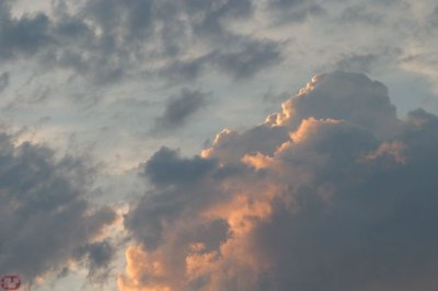 IMG_7500.JPG