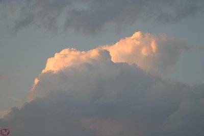 IMG_7508.JPG