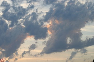 IMG_7512.JPG