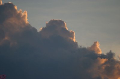 IMG_7515.JPG