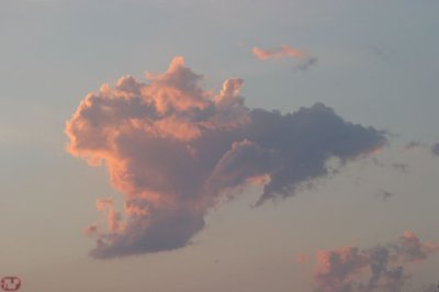 IMG_8111.JPG