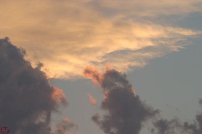 IMG_8113.JPG