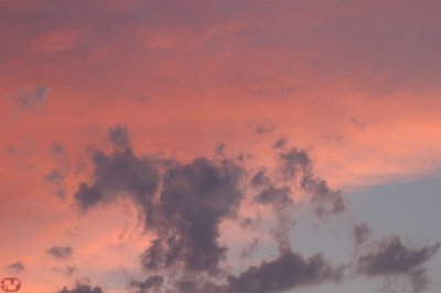 IMG_8115.JPG