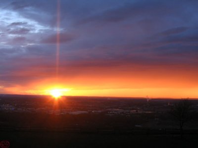 IMG_8317.JPG