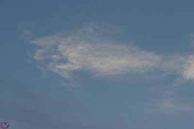 IMG_8374.JPG