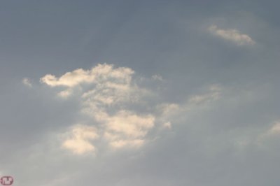 IMG_8549.JPG